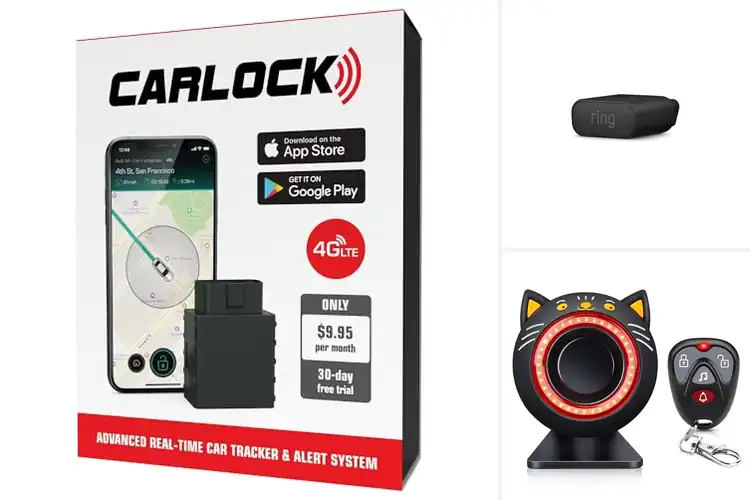 Detailed view of Best Car Security Systems