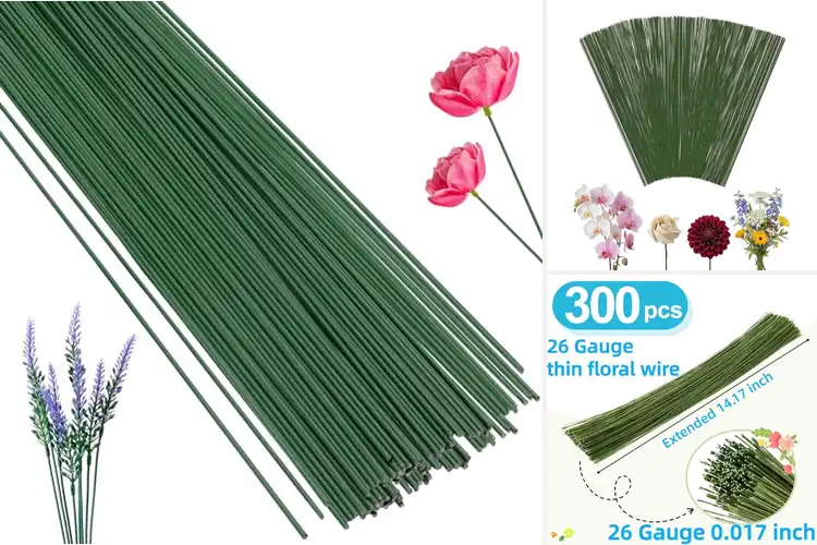 Detailed view of Best Craft Stems For DIY: Top 10 Picks for Creative Projects