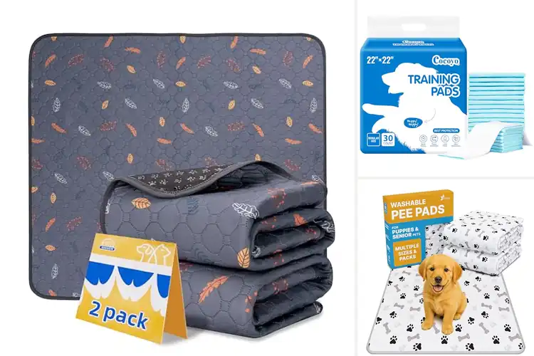 Detailed view of Best Crate Training Pads