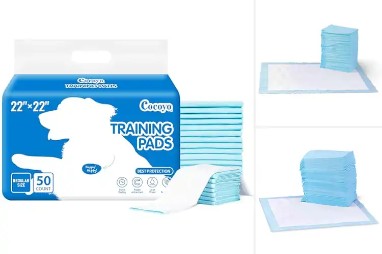 Detailed view of Best Disposable Pet Pads