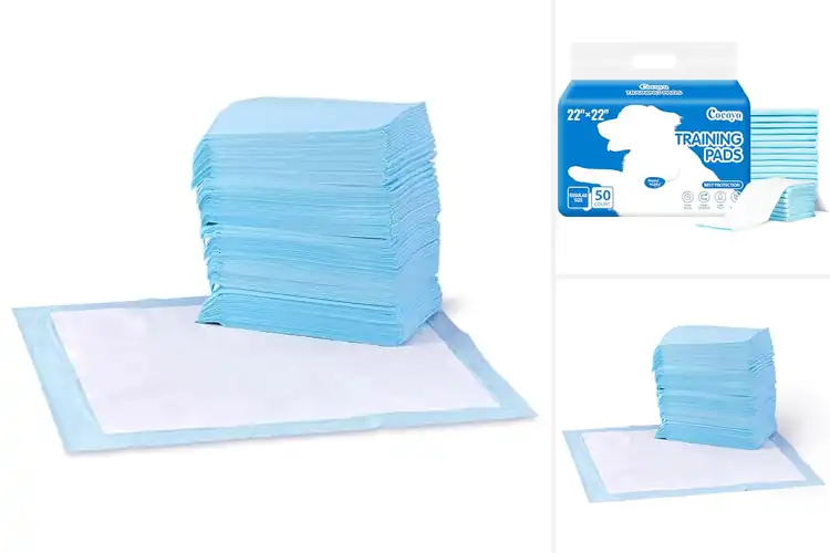 Detailed view of Best Dog Training Pads