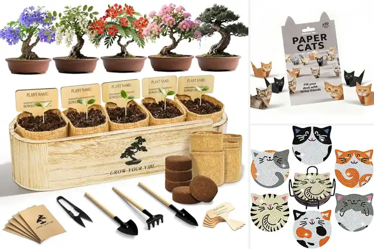 Detailed view of Best Gift For Arts And Crafts Lovers