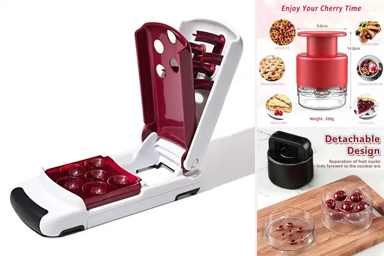 Detailed view of Best Multi Fruit Pitters