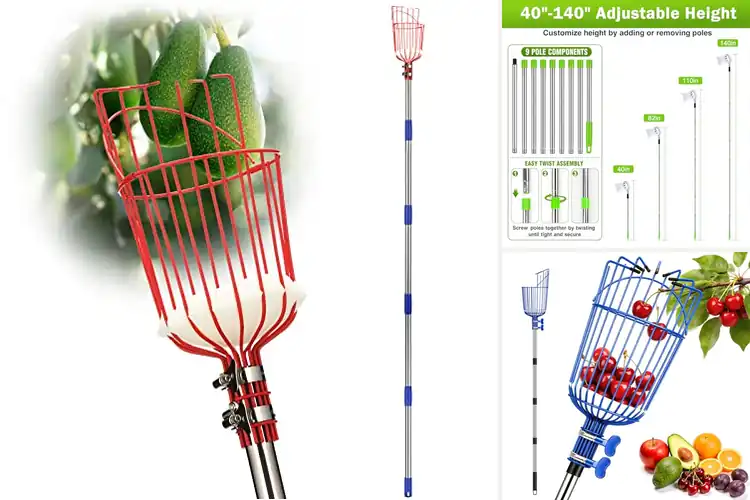 Detailed view of Best Portable Outdoor Fruit Tools