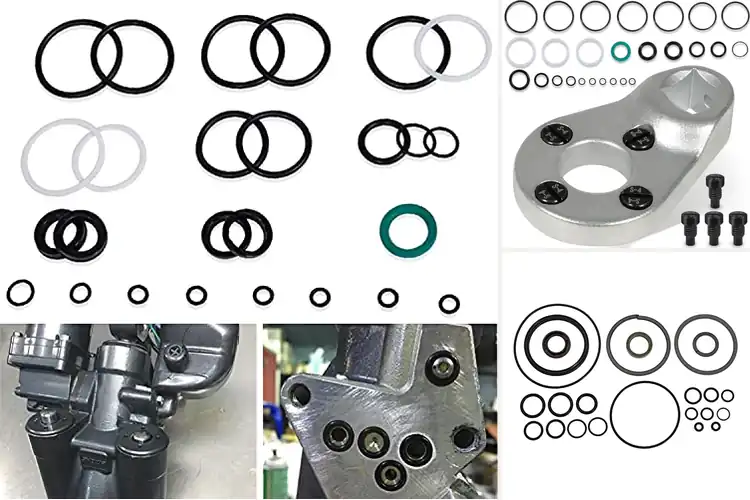 Detailed view of Best Trim Tilt Seal Kits