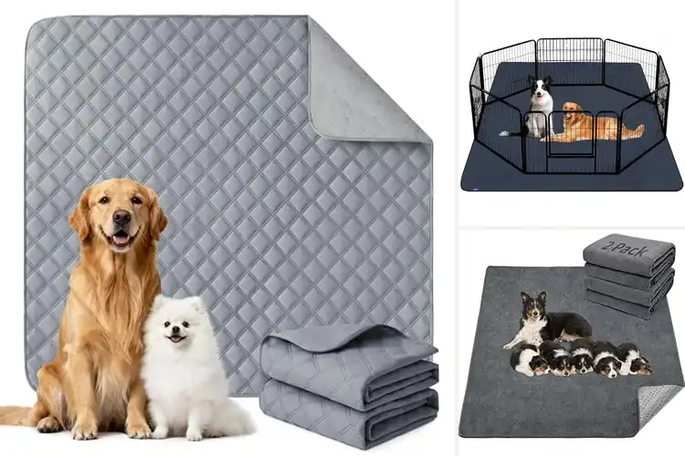 Detailed view of Best Waterproof Dog Mats