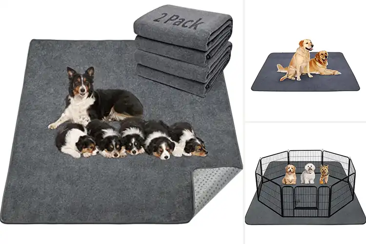 Detailed view of Best Waterproof Pet Mats: Top 10 Picks for a Clean, Dry Home